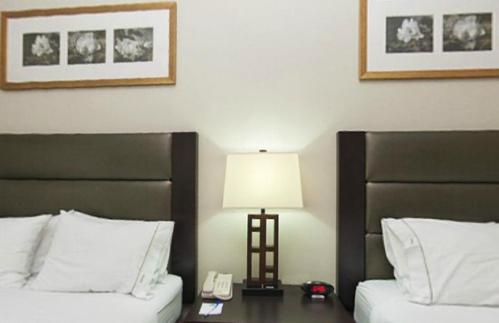 Holiday Inn Express Hotel & Suites Ottawa Airport By Ihg Camera foto